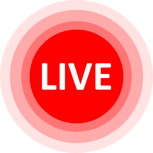 Vixenp Webcam